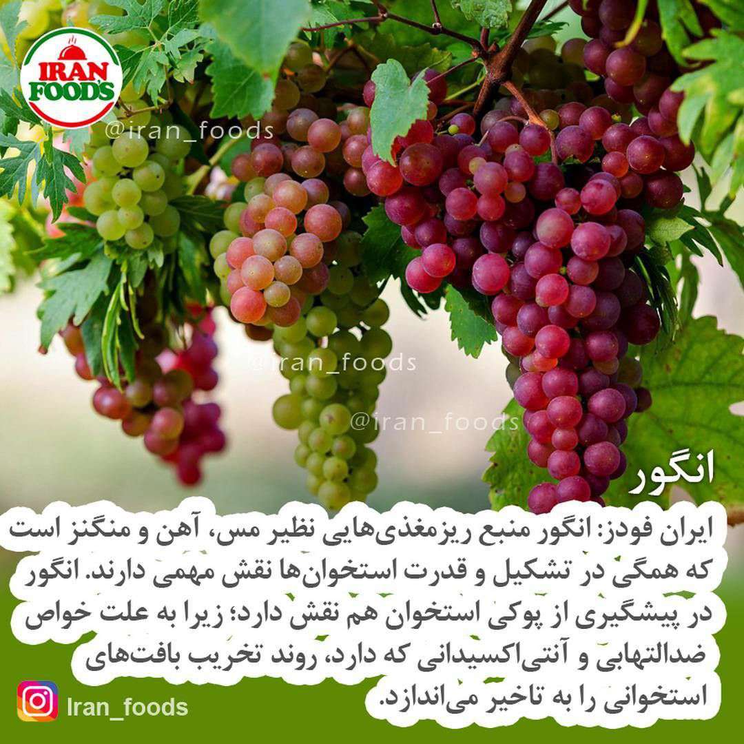 منبع ریزمغذی ها